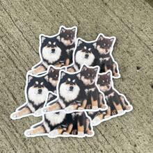 1/5/10/20pcs Custom Face Sticker, Custom Personalized Photo Sticker , Custom Pet Sticker| Pet Lover Gift | Sentimental Sticker | Custom Sticker| Diecut Sticker, Custom Dog Sticker, Custom Cat Sticker, Laptop Stickers, Water Cup Stickers, Car Stickers, Custom Sticker Stickers. Create Your Own Custom Sticker , For Student's Day, Home, Dining Room, Bathroom, Living Room - Style 2 (full Body) - View 5