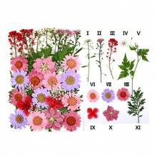 35Pcs 1 Set Dried Pressed Leaves Dried Flowers For Resin Real Assorted Dried Greenery For Pressed Leaf Art Craft DIY Handmade Bookmarks Embellishment Decorations