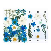 35Pcs 1 Set Dried Pressed Leaves Dried Flowers For Resin Real Assorted Dried Greenery For Pressed Leaf Art Craft DIY Handmade Bookmarks Embellishment Decorations