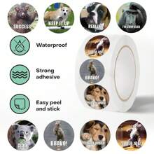 500张动物贴纸卷，表情包贴纸，狗狗贴纸，猫咪贴纸，字母贴纸，美学贴纸，趣味贴纸，乙烯基防水贴纸，美学笔记本电脑贴纸套装，滑板贴纸，水瓶贴纸，笔记本贴纸
