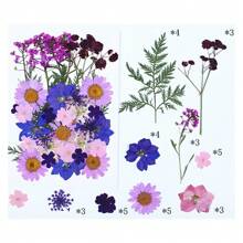 35Pcs 1 Set Dried Pressed Leaves Dried Flowers For Resin Real Assorted Dried Greenery For Pressed Leaf Art Craft DIY Handmade Bookmarks Embellishment Decorations