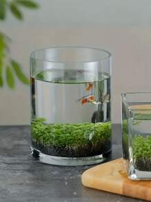 Arena negra para acuario, sustrato para plantas acuáticas, sustrato para acuarios con plantas y camarones, sustrato para embellecer el paisaje, para promover un fuerte crecimiento de las plantas, adecuado para acuarios y peceras