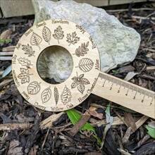 Wooden Leaf Identification Ruler, Nature Exploration Tool With Leaf Shape Encyclopedia, Crafts For Plant Observation, Ideal Gift - Khaki - View 4