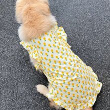 1 pezzo Vestito a molla/estate/autunno con stampa di ananas per cani di taglia media e grande, vestito volante carino per Golden Retriever, Labrador, Samoyed