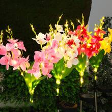 1 件太阳能蝴蝶兰精致花园装饰灯太阳能通道灯情侣礼物草坪灯适用于户外庭院花园草坪围栏车道装饰，无遥控器，塑料灯罩，太阳能节日草坪装饰