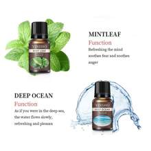 1 Stück rein natürliches ätherisches Öl geeignet für Schlafzimmer, Badezimmer und verschiedene Szenarien, duftender ätherischer Öldiffuser, Aromatherapie Kerze, Aromatherapie Ofen Diffuser Stein, Luftbefeuchter, Auto-Aromatherapie, Haushalts-Aromatherapie ätherisches Öl (Weißer Tee, Minze, Lilie, Ozean, Rose, Jasmin, Orange, Freesie - 8 Geschmacksrichtungen zur Auswahl, 10ml/0,34 FL.OZ)