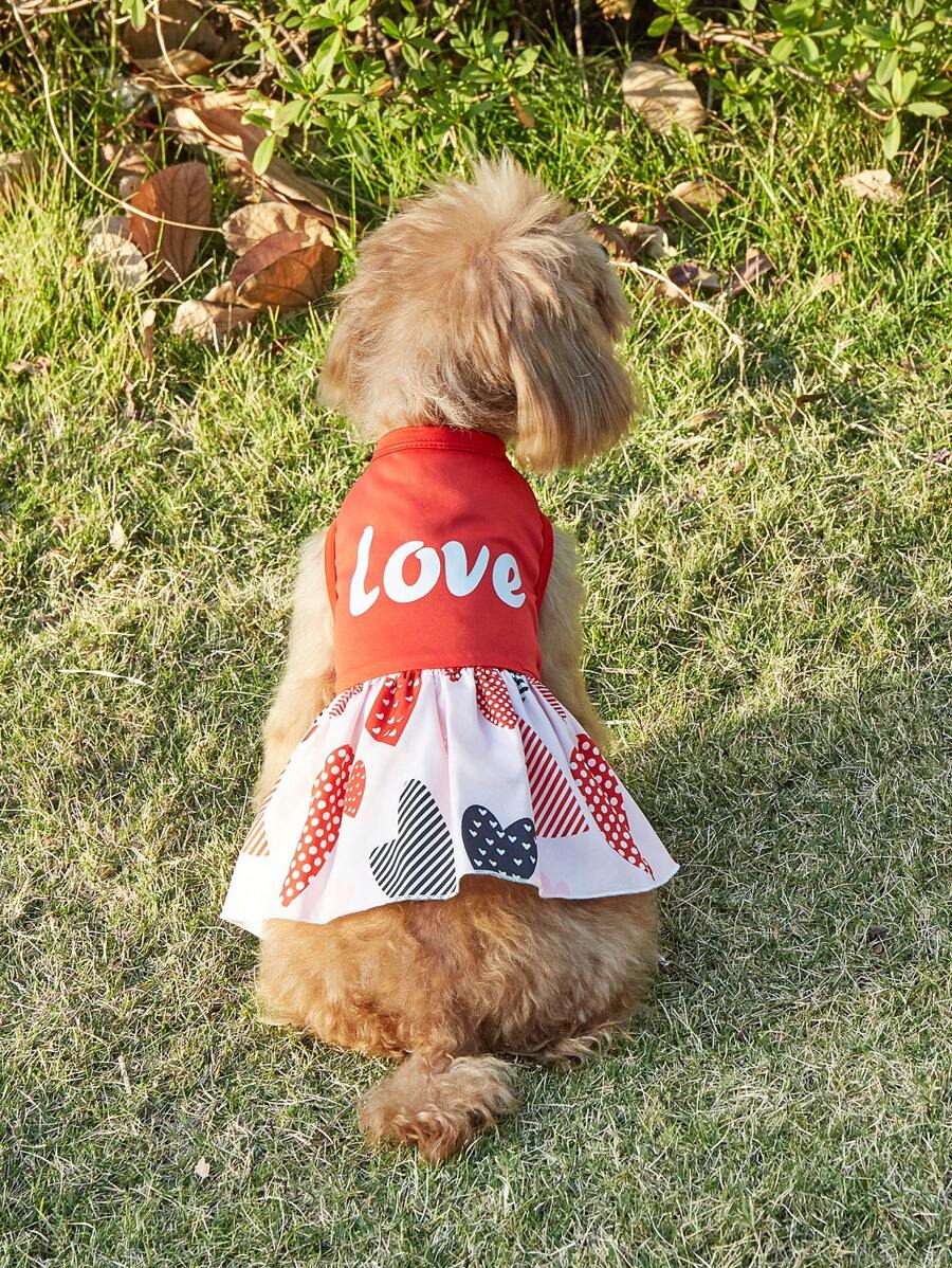 Multicolor Floral Dress Pet Clothes, Fashionable & Elegant Dress, Comfortable & Breathable All Season Dog & Cat Apparel, Soft & Skin-Friendly 1 Piece, Puppy & Kitten Clothes