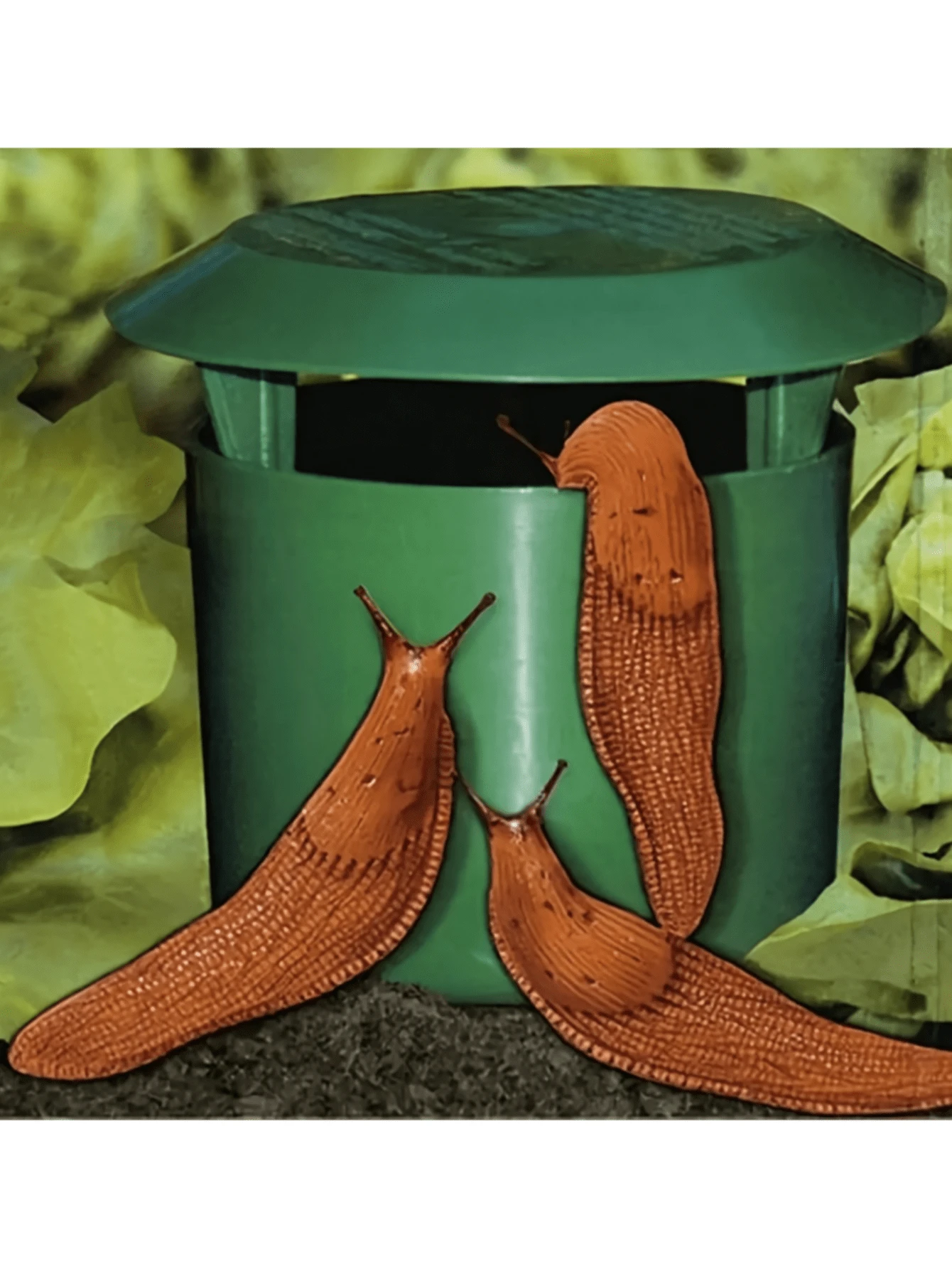 Plastic Snail Cage - Slug Catcher Trap Tool - Animal Pest Trapper Control, No Harm To Vegetable And Flower Green