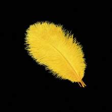 10 PIEZAS (15cm-20cm/5,9in-7,9in) Plantas de plumas de avestruz artificiales simuladas, utilizadas para decoración central, fiesta, decoración del hogar para boda, atrapasueños, decoración de jarrón, arreglo floral, manualidades de decoración del hogar para fiestas, bodas y decoración de jarrones.