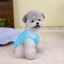 New Spring/Summer Pet Clothes, Cat Shirt, Air Conditioning Cat Dress, 25 Patchwork Denim Skirt, Dog Shirt, Outfit, Animal Costume, Small Dog Clothes, New Casual Outfit, British Style Animal Clothes, Sun Protection Shirt, Leash Buckle Shirt - Blue - View 9