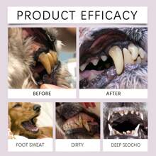 Pet Toothbrush Pen, Dog & Cat Tartar, Plaque, Odor Removing Tooth Cleaning Brush, Daily 1 Minute Brushing = Extending Precious Memories By 1,825 Hours