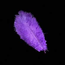 10 PIEZAS (15cm-20cm/5,9in-7,9in) Plantas de plumas de avestruz artificiales simuladas, utilizadas para decoración central, fiesta, decoración del hogar para boda, atrapasueños, decoración de jarrón, arreglo floral, manualidades de decoración del hogar para fiestas, bodas y decoración de jarrones.