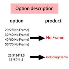 1 szt. Różowy wiosenny dziki kwiat botaniczny plakat artystyczny bez ramki nowoczesny współczesny styl - estetyczny kolorowy kwiat boho obraz na płótnie wydruk do wystroju Cottagecore, minimalistyczny kwiatowy obraz ścienny, poziomy wydruk artystyczny tuszem na powierzchni płótna