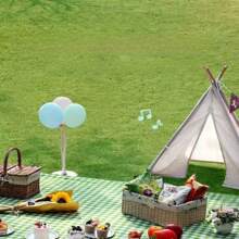 1 件便携式防水野餐垫，无布，加厚，防潮，户外，春季，露营 - 彩色 - 查看 8