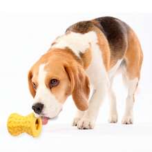 1 pieza Juguete terapéutico interactivo para perros - Hueso de perro para masticadores agresivos - Super juguetes para perros - Hueso de juguete resistente para perros, mancuerna de goma natural con chirrido