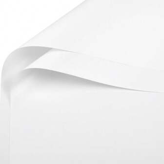 20 pièces/paquet Papier d'emballage floral imperméable de couleur unie, convient pour la boutique de fleurs, les arrangements floraux, papier d'emballage de bouquet de style coréen double face