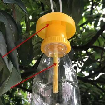 1/3 piezas Trampa para moscas de la fruta, autoensamblable con botella, atrae moscas de la fruta en huertos y jardines, aplicar miel en un hisopo de algodón como cebo