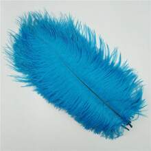 10 PIEZAS (15cm-20cm/5,9in-7,9in) Plantas de plumas de avestruz artificiales simuladas, utilizadas para decoración central, fiesta, decoración del hogar para boda, atrapasueños, decoración de jarrón, arreglo floral, manualidades de decoración del hogar para fiestas, bodas y decoración de jarrones.