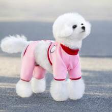 新款春夏宠物服装，25号猫咪防蚊四脚裤，宠物服饰，动物服装，小型犬服装，新款休闲装，英伦风宠物服饰，透气运动套装带牵引绳扣 - 黃色 - 查看 4