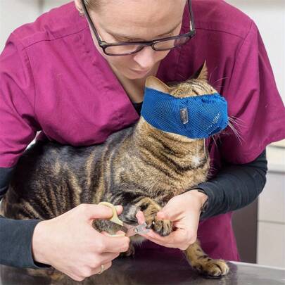 Verstellbarer, bequemer Katzenmaulkorb aus atmungsaktivem Netzgewebe, verhindert Beißen und Kauen, perfektes Pflegezubehör