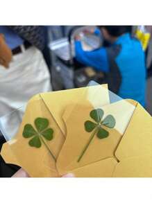 Lucky Four-Leaf Clover Postcard - Natural Transparent Wishing Card, Ideal Choice For Bookmark And Decoration, Perfect Holiday Gift, Genuine Wild Four-Leaf Clover, Natural Dried Grass, Distinctive Four-Leaf Clover Shapes