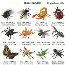 12pcs Realistic Mini Insect & Animal Model Toy Set, Including Bee, Spider, Butterfly, Ant, Grasshopper, Educational Toy For Kids, Halloween & Christmas Decor, Gift - Multicolor - View 4