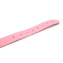 1件定制粉色哥特风PU腰带，字母定制颈链，朋克性感男女个性项圈，带扣颈链，角色扮演饰品，色彩缤纷，可爱，迷人，趣味，卡哇伊，Y2K，时尚，中性，休闲，定制，个性化，独特，送给他的理想礼物，送给她的理想礼物，男友，女友，家人，朋友，定制项圈和配饰，家庭 - 彩色 - 查看 10