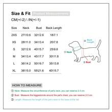 1pc Casual Colorful Pet Shirt Jacket, Fashionable, Elegant, Kawaii, Comfortable Dog/Cat Clothing, Cute, Soft, Breathable All Season - Multicolor - View 6