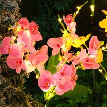 1 件太阳能蝴蝶兰精致花园装饰灯太阳能通道灯情侣礼物草坪灯适用于户外庭院花园草坪围栏车道装饰，无遥控器，塑料灯罩，太阳能节日草坪装饰