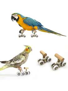 1 Set Parrot Roller Skating Toy, Mini Parrot Training Toy, Parrot Intelligence Training, Bird Toy Accessory