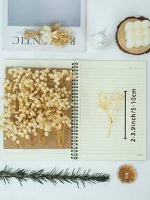 25/50/100/300 Pcs Or 50/150g Mini Baby's Breath Flowers And Other Dried Flowers - For Resin Mold Art Craft, Ivory White Flowers Bouquet For Hair Accessory, Wedding Wreath, Table Vase, Home Decor - Beige - View 8