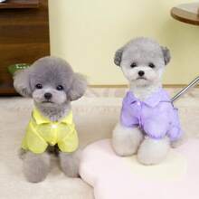 New Spring/Summer Pet Clothes, Cat Shirt, Air Conditioning Cat Clothes, 4-Leg Outdoor Sun Protection Clothes, Dog 4-Leg Clothes, Outfits, Animal Costumes, Small Dog Clothes, New Casual Clothes, British Style Animal Clothes, 4-Leg Sun Protection Leash Clothes - Purple - View 4