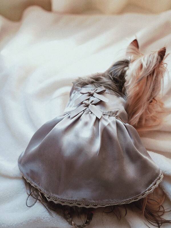 قطعة واحدة من الملابس الداخلية المثيرة للحيوانات الأليفة من الكلاب والقطط, بدون أكمام وظهر مكشوف وجرو رمادي اللون