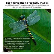 Simulation Dragonfly, Dragonfly Repellent, Animal Model, Natural Enemy Of Small Flying Pests, Suitable For Camping, Clothing, Indoor Decoration And Outdoor. - Multicolor - View 1