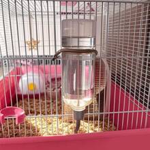 Alimentador y dispensador de agua automático portátil para animales pequeños, botella de agua colgante para conejos, gatos, pájaros y talla grande suministros para mascotas