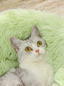 1pc Cat Bed, Warm Plush Round Pet Bed For Cats & Dogs, Deep Sleep, Autumn/Winter