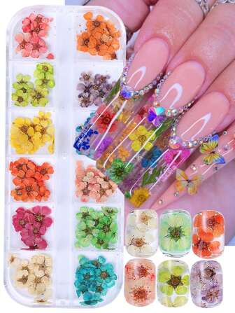 12色3D干花美甲装饰12格花朵天然花卉贴纸图案粉色紫色绿色花朵贴花DIY美甲配件美甲用品指甲饰品美甲宝石