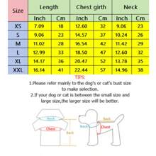 Colorblock Mesh Dress, Fashionable Printed, Spring/Summer Jumper Dress - Green - View 2