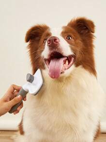 宠物美容护理套装：指甲钳、锉刀、刷子、宠物牙刷、多功能狗猫美容清洁工具包 - 灰色 - 查看 7