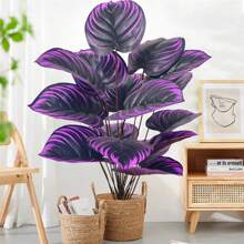 57-85cm/33.46inch Artificial Plant Purple Calla Lily Leaf Alocasia Leaf Apple Leaf Potted Ornamental Plants For Home Decoration