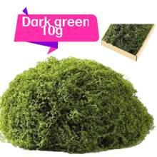 10/20/50/100/200/500g DIY Musgo artificial para decoración interior - Plantas verdes de poliéster realistas para bonsái, recipientes de vidrio y paisajes de escritorio, sin recipientes, perfecto para Halloween y decoración del hogar