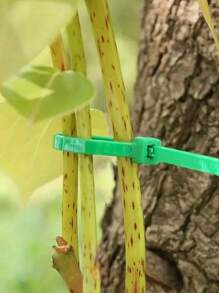 50 pièces/set, attaches de jardinage, cordons à fermeture éclair, emballages plastiques, fixateurs de plantes, attaches de fil de jardinage portables, entretien de la cour et du gazon, liens de réparation de fils et de câbles