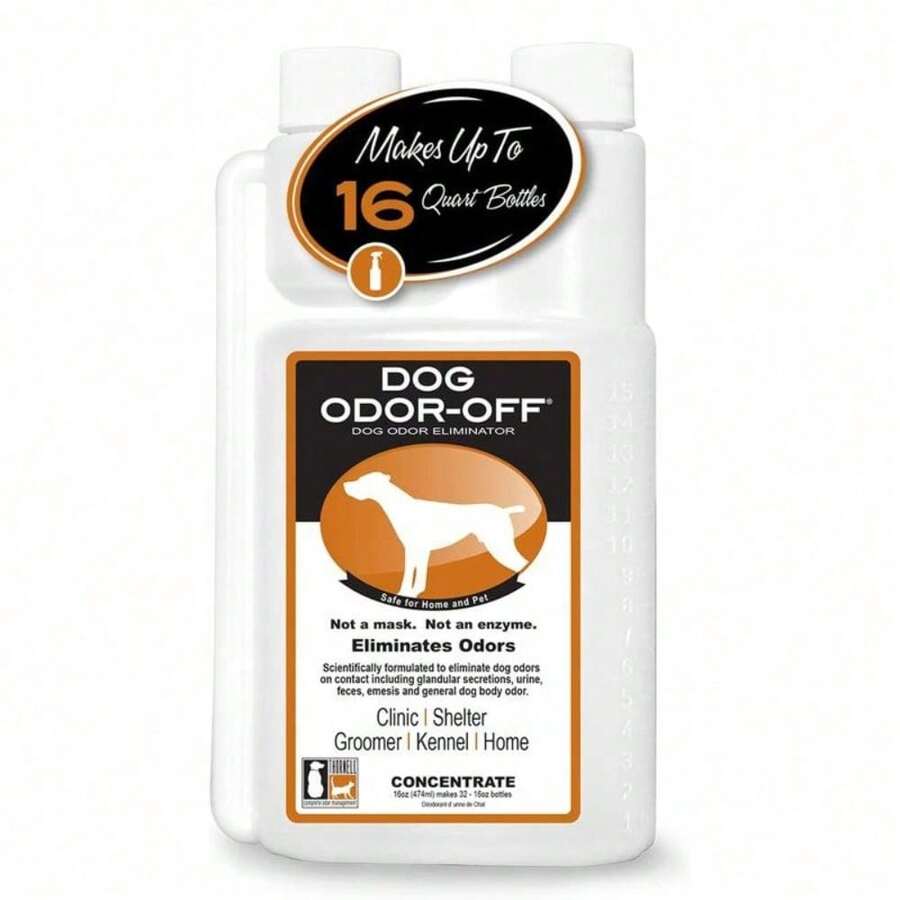 Big D Toilet Concentrate Odor Eliminator - Cherry Scent, 5 Gallon For Chemical Toilets & RVs