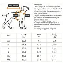 Dog Dress With Ruffle Sleeves, Daisy Flower Decor, Leash Attached, Cute Princess Style For Pets, Spring/Summer - Red - View 7