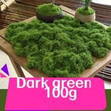 10/20/50/100/200/500g DIY Musgo artificial para decoración interior - Plantas verdes de poliéster realistas para bonsái, recipientes de vidrio y paisajes de escritorio, sin recipientes, perfecto para Halloween y decoración del hogar