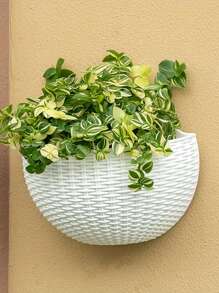 1pc Modern Plastic Wall-Mounted Planter - Rattan Half-Round Hanging Flower Pot, No Drill Decor Planter, Suitable For Indoor/Outdoor Garden, Hydroponic Container