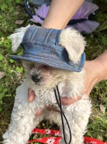 带耳孔的狗狗太阳帽，可爱的比熊犬小狗渔夫帽，防晒霜