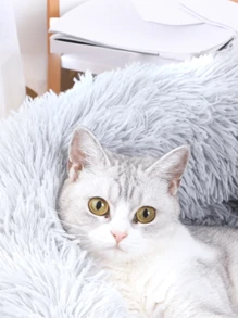 1pc Cat Bed, Warm Plush Round Pet Bed For Cats & Dogs, Deep Sleep, Autumn/Winter