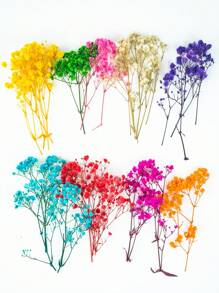 25/50/100/300 pièces Fleurs de souffle de bébé naturelles préservées - Élégant souffle de bébé éternel, convient pour la maison, le bureau, le mariage, Noël, la fête d'Halloween, l'artisanat sans entretien, convient pour les âges 14+