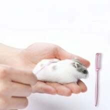 1pc Cute Pink Hamster Comb With Heart Design, Pet Grooming Tool For Ferret, Chinchilla, Hedgehog